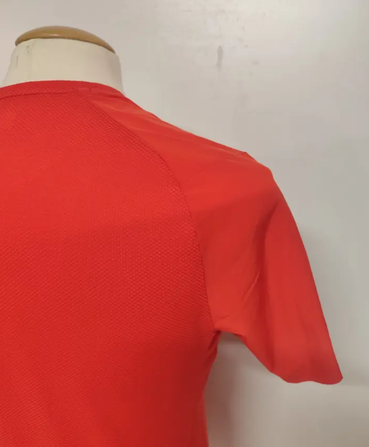T-shirt SALEWA Pedroc Polartec Delta - Homme