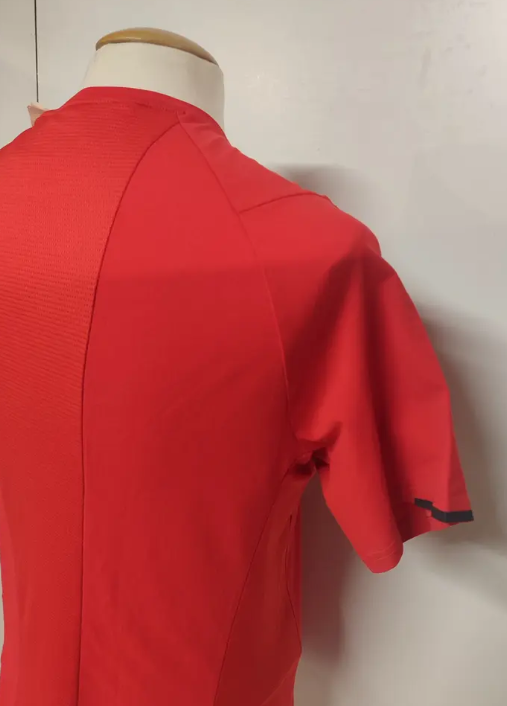 T-shirt SALEWA Pedroc Dry'ton - Homme