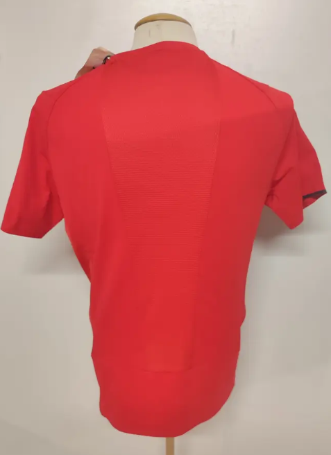 T-shirt SALEWA Pedroc Dry'ton - Homme