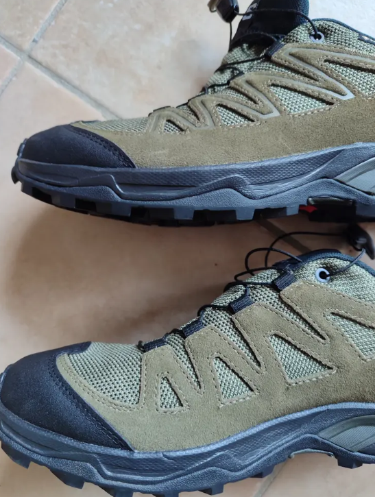 Chaussures de marche SALOMON X Ward Leather Gore-tex- Homme