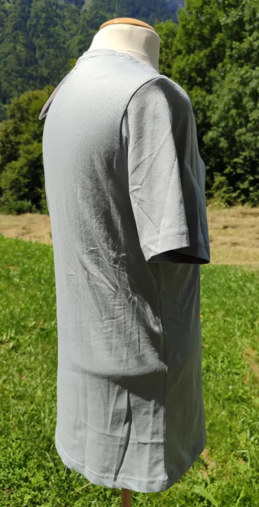 T-shirt manches courtes DYNAFIT Artist Series - Homme