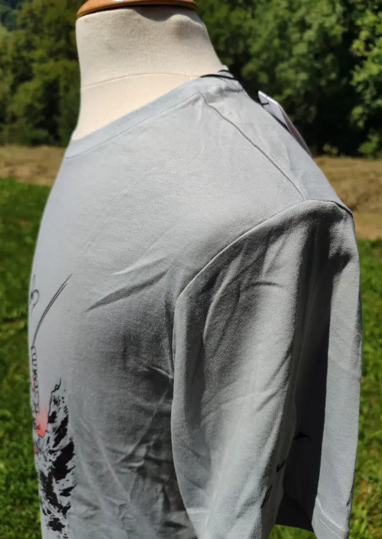 T-shirt manches courtes DYNAFIT Artist Series - Homme