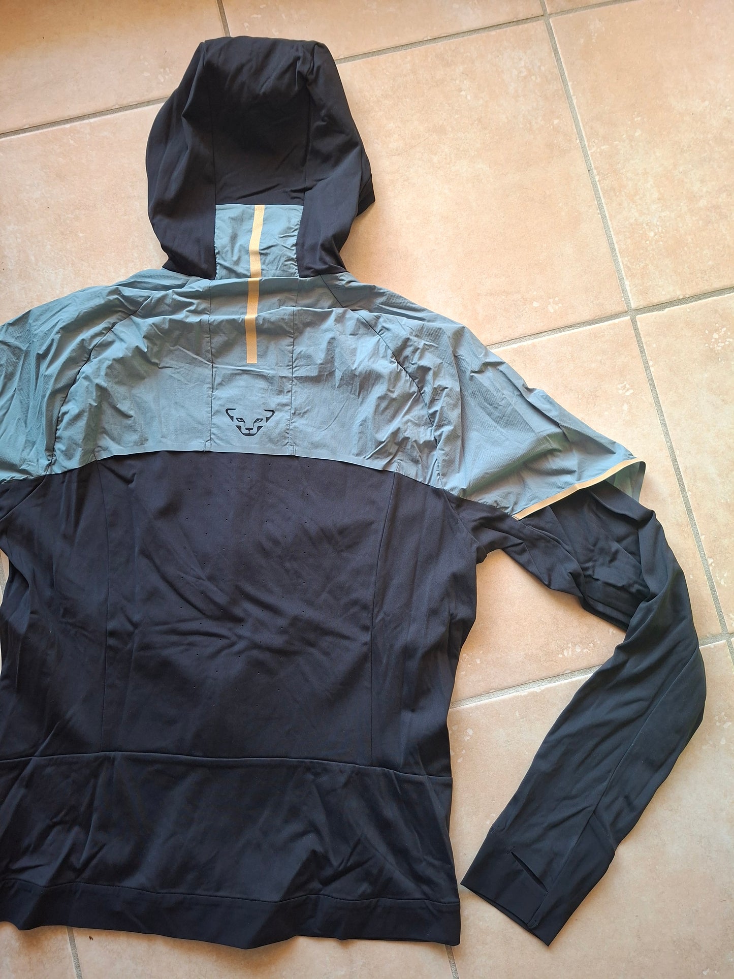 Veste DYNAFIT Alpine Hybride - Homme