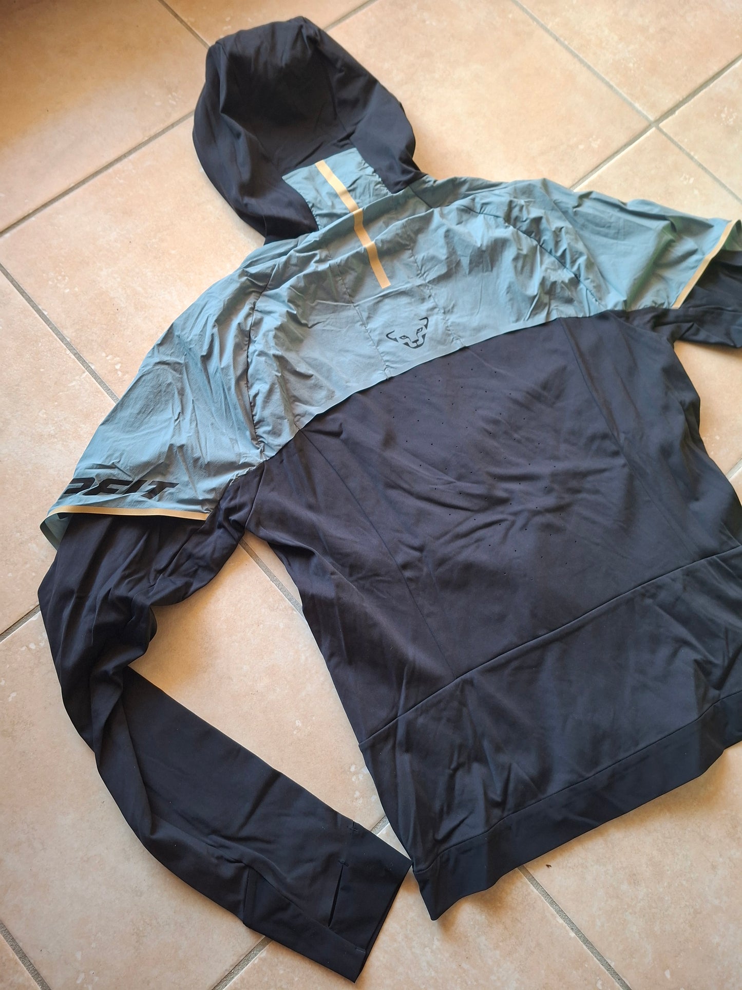 Veste DYNAFIT Alpine Hybride - Homme