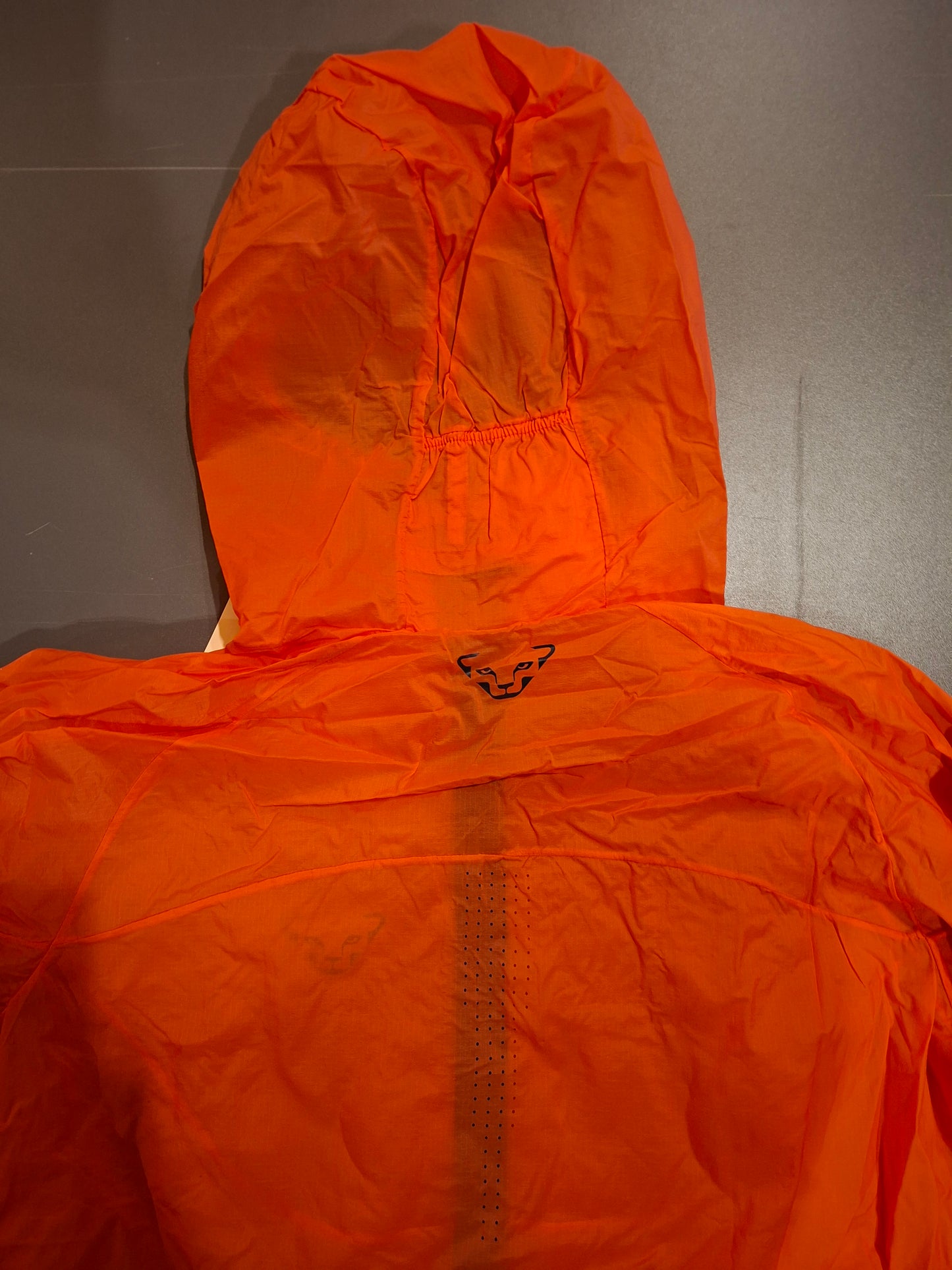 Veste coupe vent DYNAFIT Vert Wind 72 - Femme
