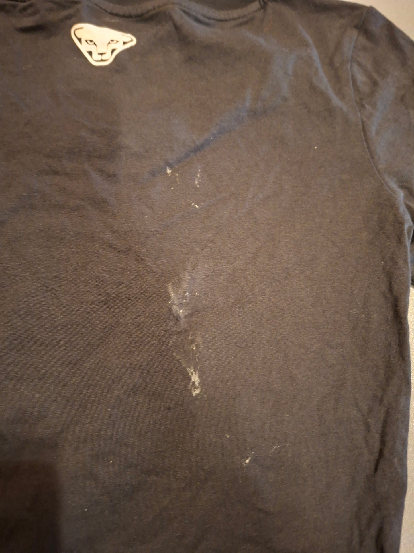 Tee shirt DYNAFIT Graphic - Femme