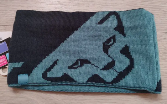 Bandeau DYNAFIT Logo Leopard - Unisexe
